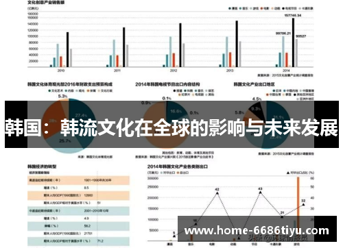 韩国：韩流文化在全球的影响与未来发展