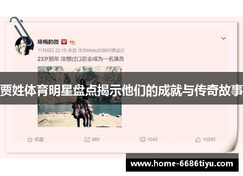 贾姓体育明星盘点揭示他们的成就与传奇故事